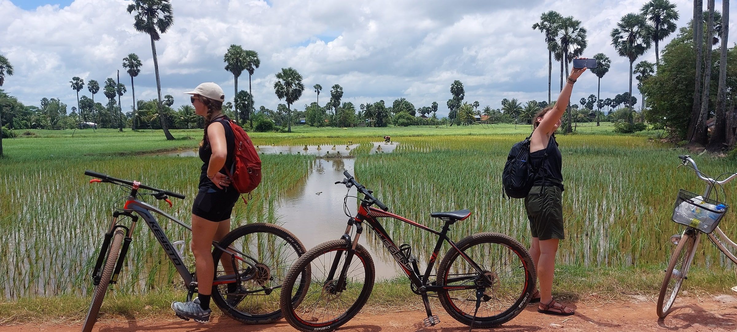 Two guests pausing their bicycles to photograph a flooded rice paddy