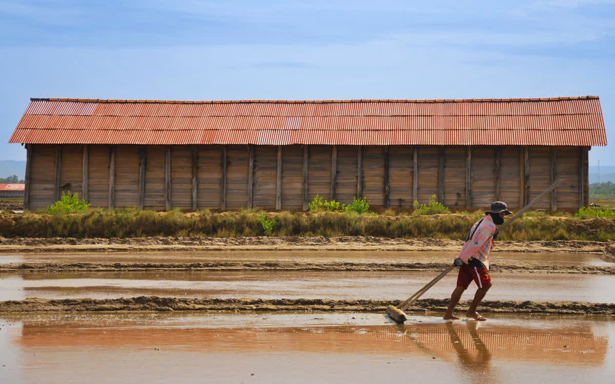 Salt Field Community Tour